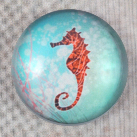 KABOSZON SZKLANY 20 mm.