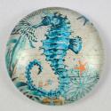 KABOSZON SZKLANY 20 mm. KABOSZON SZKLANY 20 mm.