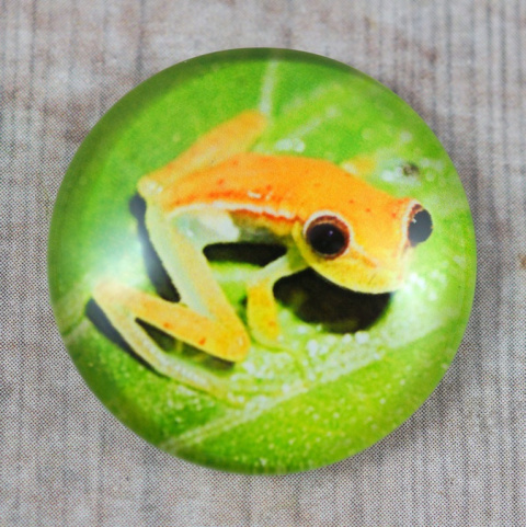 KABOSZON SZKLANY ŻABA ŻÓŁTA 20 mm. KABOSZON SZKLANY ŻABA ŻÓŁTA 20 mm.