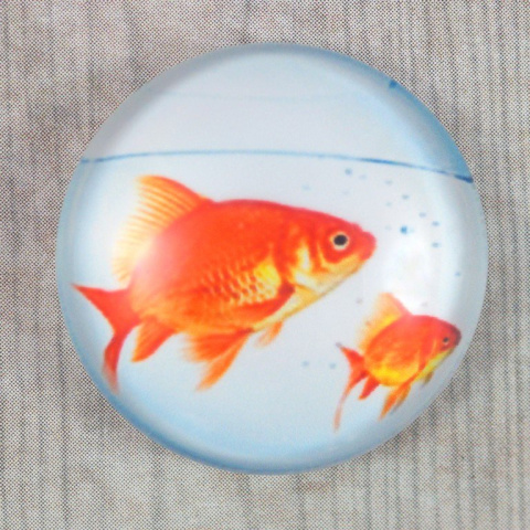 KABOSZON SZKLANY ZŁOTA RYBKA 20 mm.